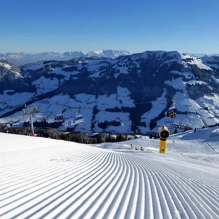Loge Zur Wilden Au Niederau