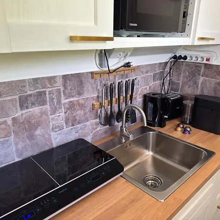 Loge Zur Wilden Au * 涅德劳