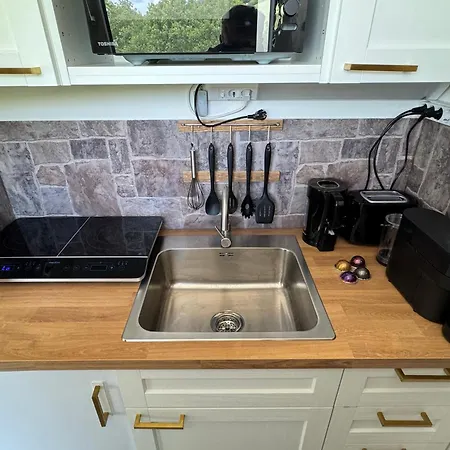 公寓 Loge Zur Wilden Au