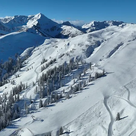 公寓 Loge Zur Wilden Au 涅德劳